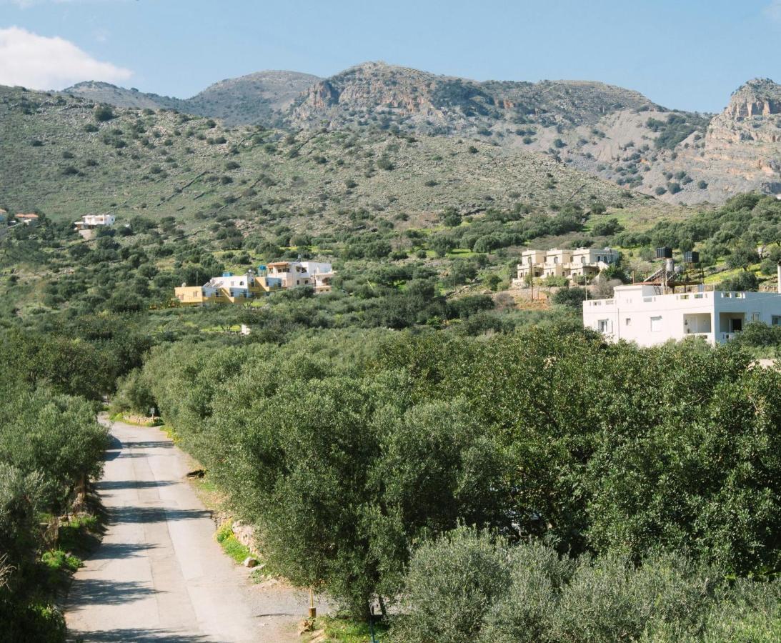 Elounda George Studios المظهر الخارجي الصورة